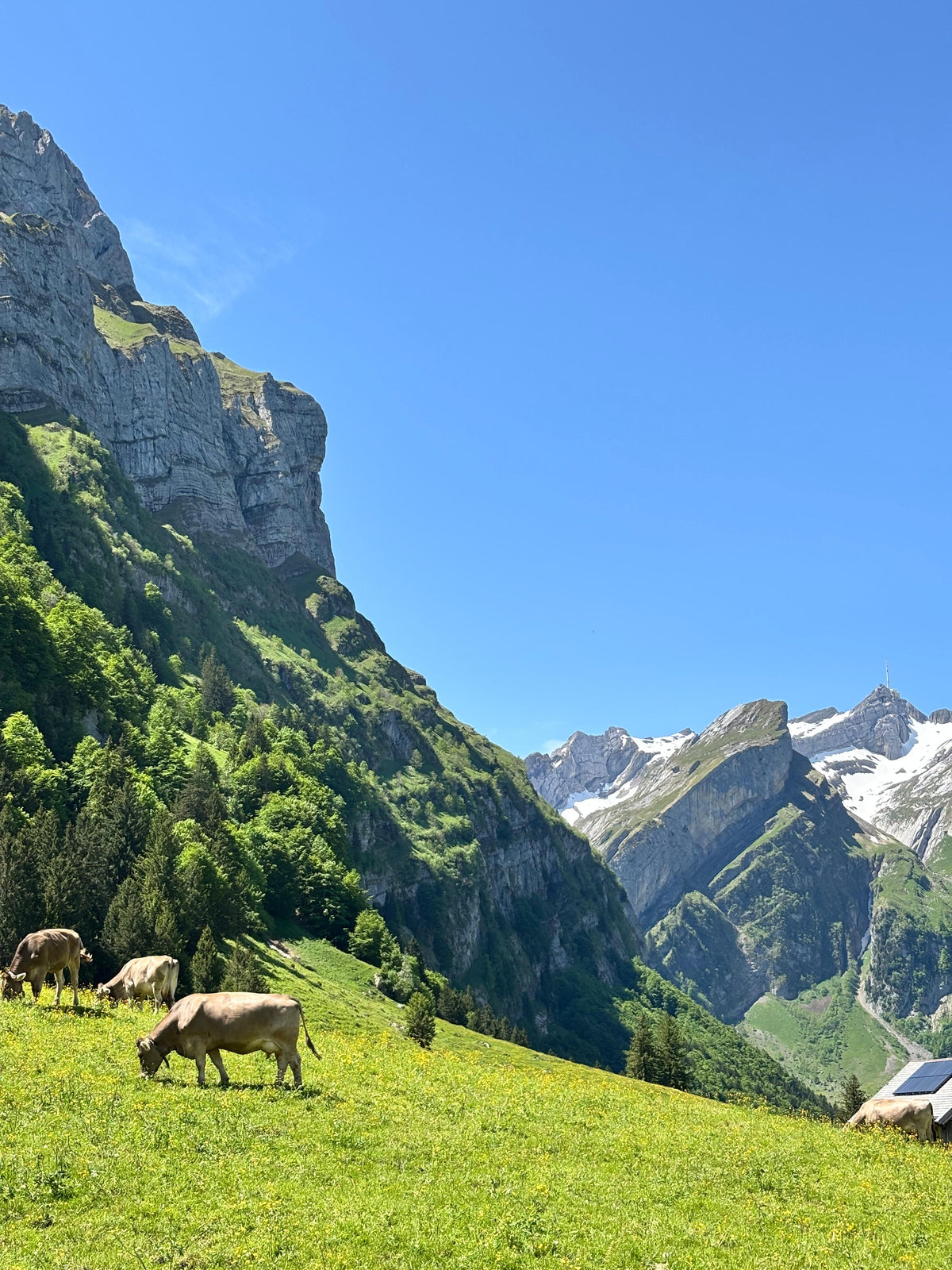 5 spots insolites en Suisse alémanique pour déguster une fondue en pleine nature